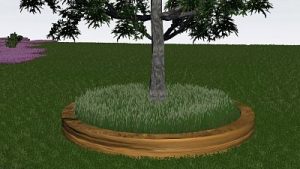 Runde Gras-Sitzbank im kühlenden Schatten eines Baumes.
