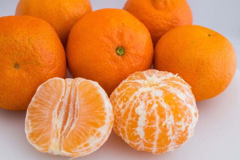 Was ist der Unterschied zwischen Clementinen, Mandarinen & Satsuma? Botanik Guide