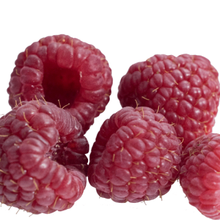 Rote Himbeeren