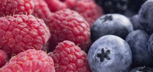 Him- und Heidelbeeren