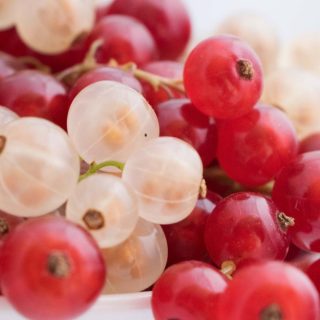 Johannisbeeren in rot und weiß