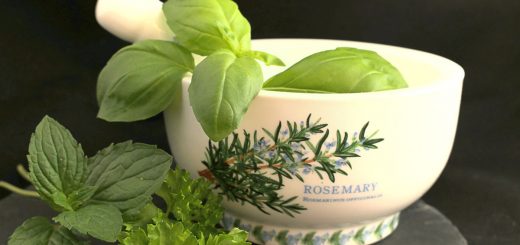 Kräuter und Mörser