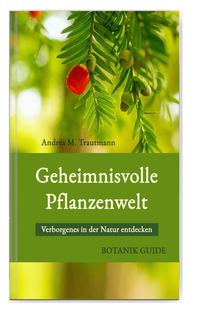 Geheimnisvolle Pflanzenwelt 2. Auflage