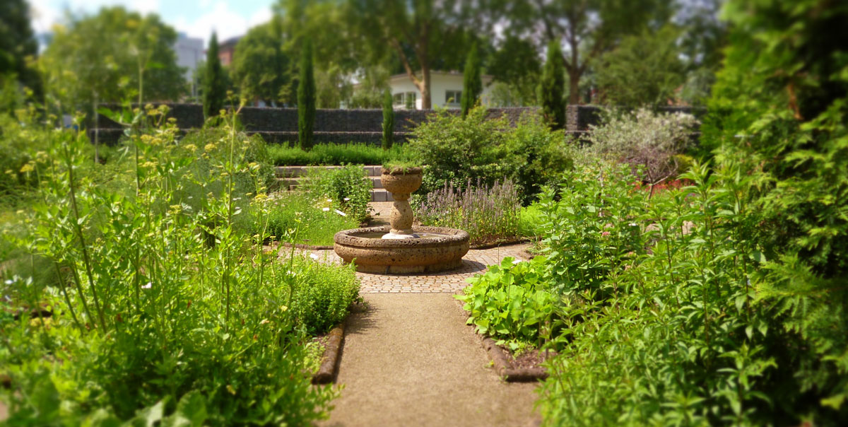 Gemüse anbauen: Wie lege ich einen Garten an?| Botanik Guide