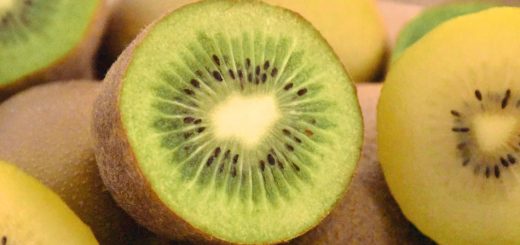 Kiwisorten für den Garten