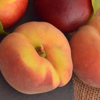 Pfirsiche - Plattpfirsich