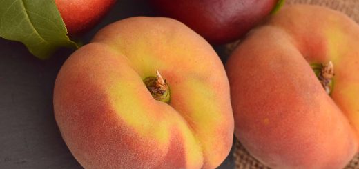 Pfirsiche - Plattpfirsich