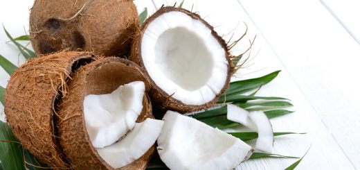 Kokosnüsse geöffnet