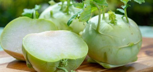 Kohlrabi