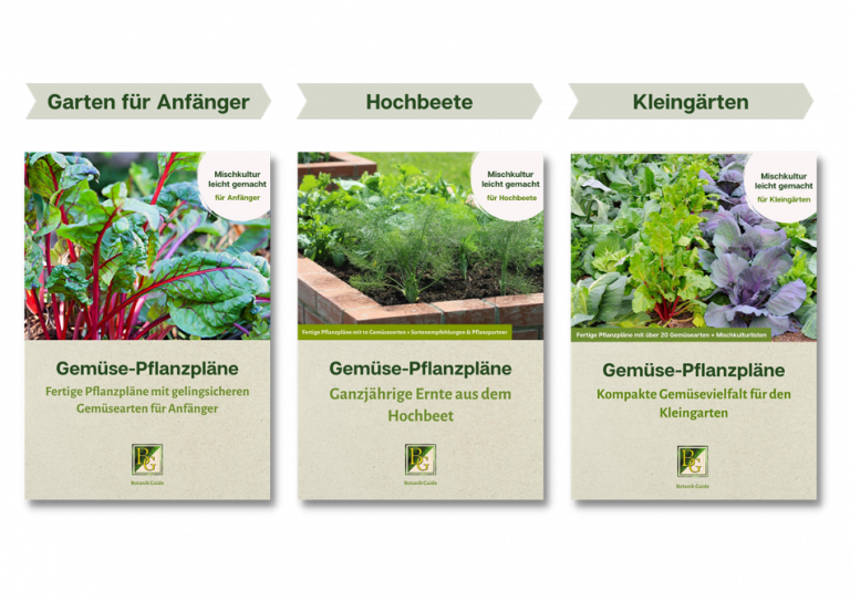GemüseAnbaupläne Fertige Pflanzpläne als PDF