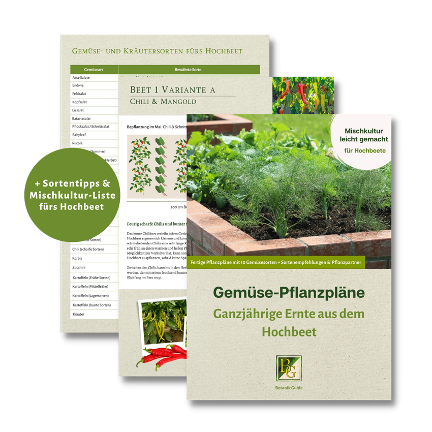 Gemüse-Pflanzpläne fürs Hochbeet