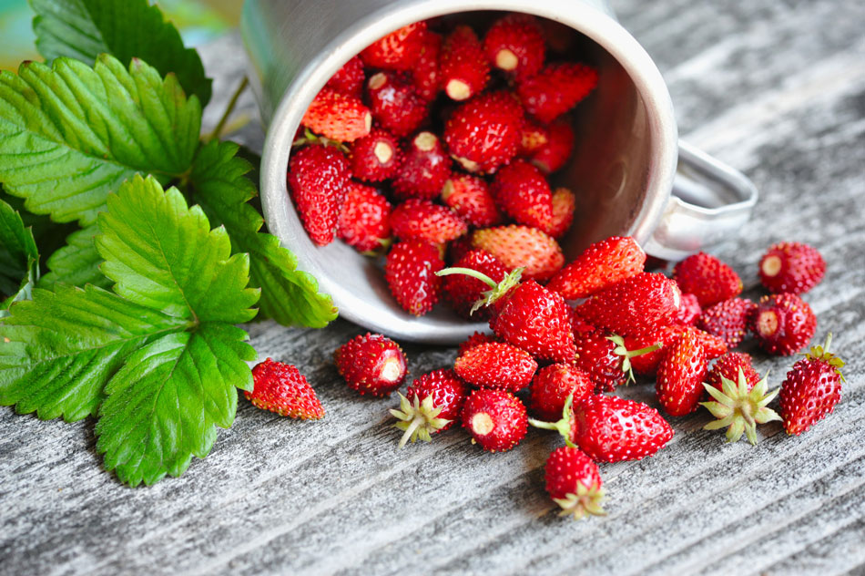 exotische erdbeer-ähnliche Früchte ernten lecker ! 