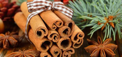 Zimtstangen