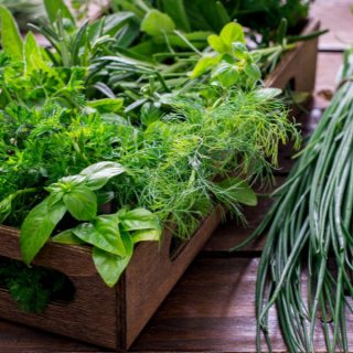 Frische aromatische Kräuter