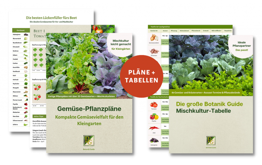 Gemüse-Pflanzpläne zur Erleichterung der Gartenarbeit.