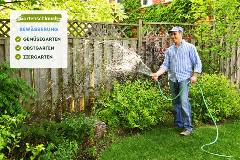 Tortilla Maker Aus Gusseisen - Teigpresse Für Fladenbrot & Pizza