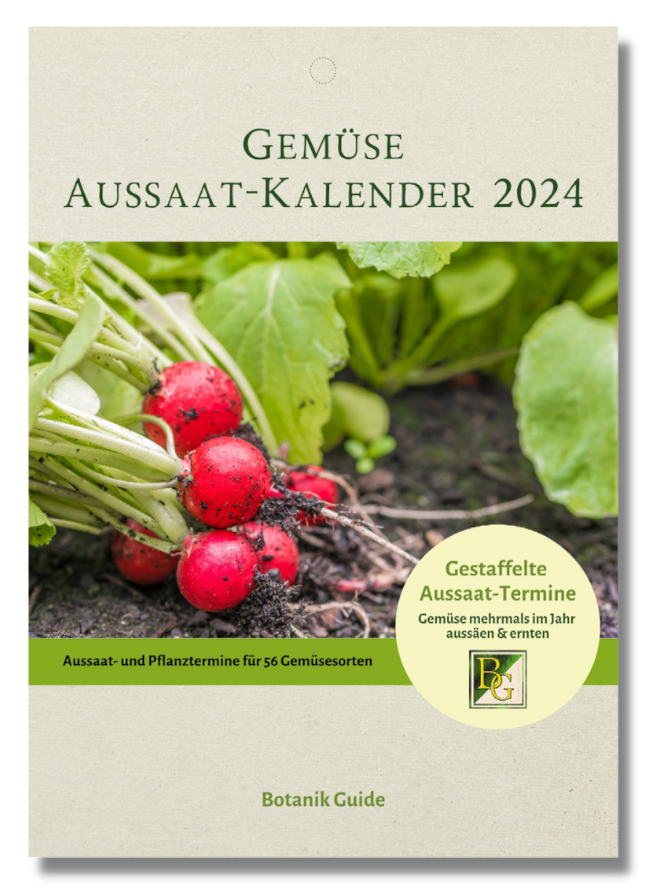 Gemüse Aussaat-Kalender 2024 mit Anbau-Tipps
