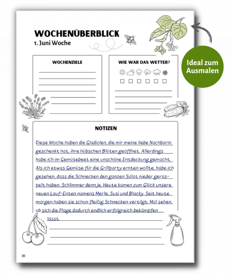 Wochenüberblick Vorschau