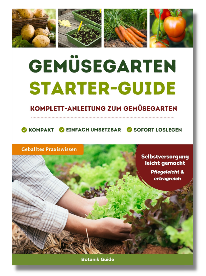 Gemüsegarten Starter-Guide