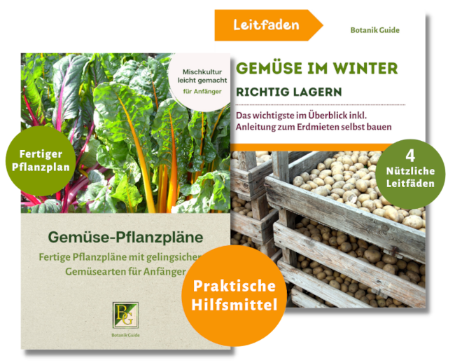 Leitfäden und Pflanzplan Vorschau