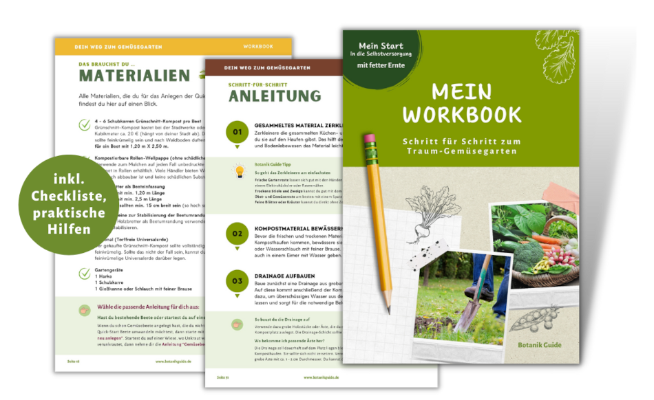 Workbook Vorschau